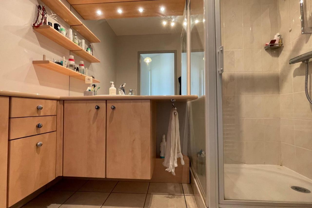 Les Capucines - Appartement Moderne Proche Centre D'Annecy Eksteriør billede